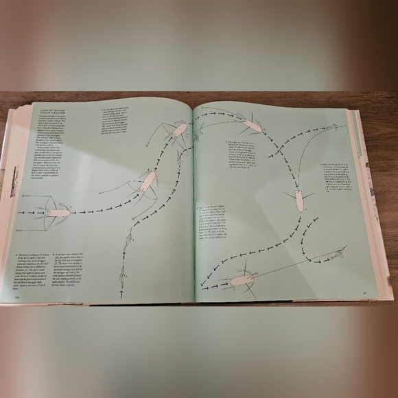 Gorgeous 1970s Coffee Table Book with Illustrations - Picture 8 of 13